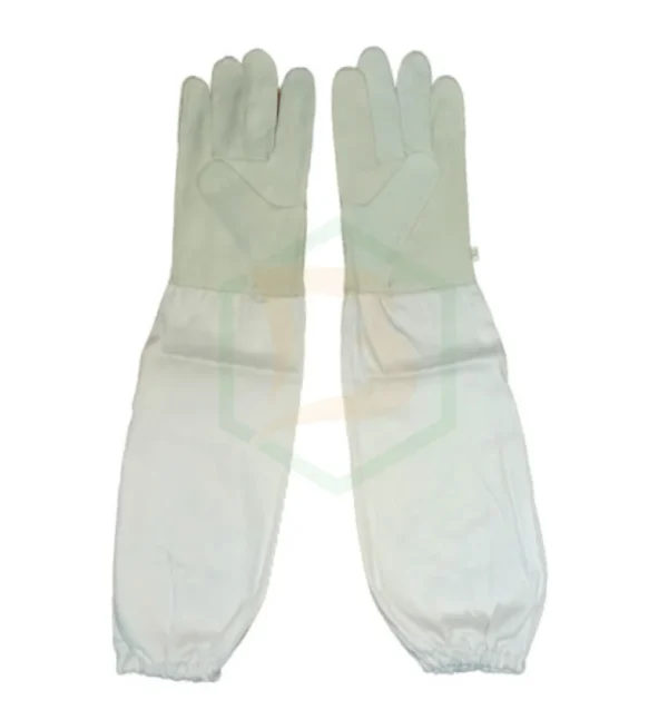 Bee Leather Cotton Cuff Gloves